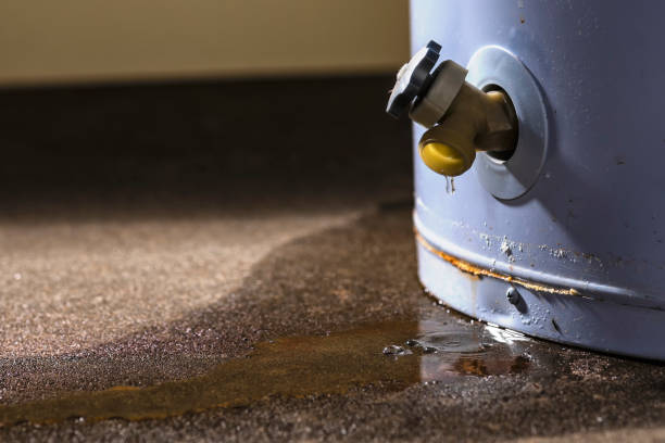 Best Carpet water damage restoration  in Northlakes, NC