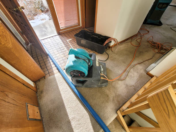 Best Water damage restoration near me  in Northlakes, NC