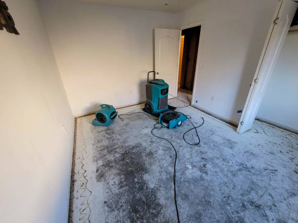Best Flooded house restoration  in Northlakes, NC