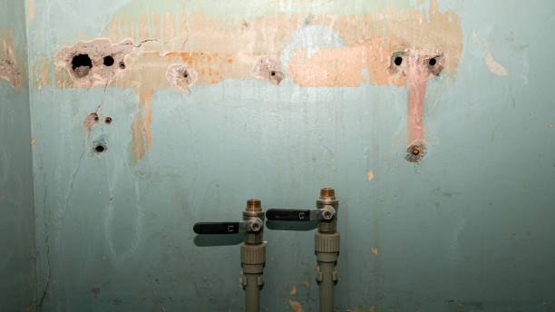 Best Emergency water damage restoration  in Northlakes, NC