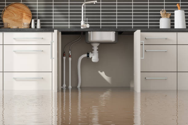 Best Flooded house restoration  in Northlakes, NC
