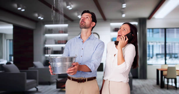 Best Basement water damage restoration  in Northlakes, NC