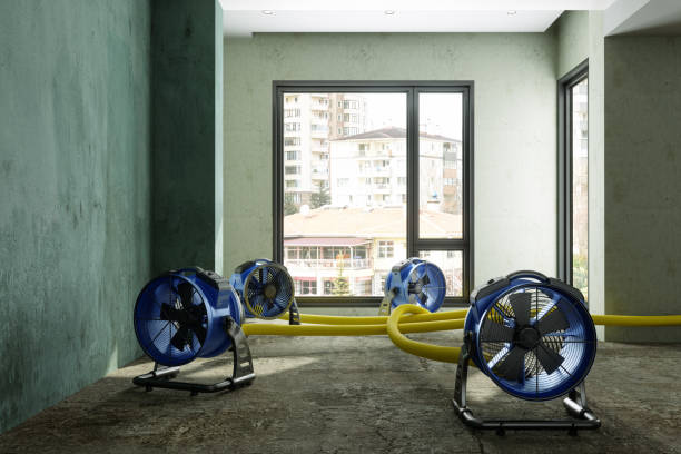 Best Water damage cleanup near me  in Northlakes, NC