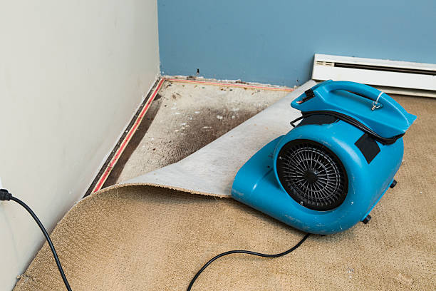 Best Water damage restoration near me  in Northlakes, NC